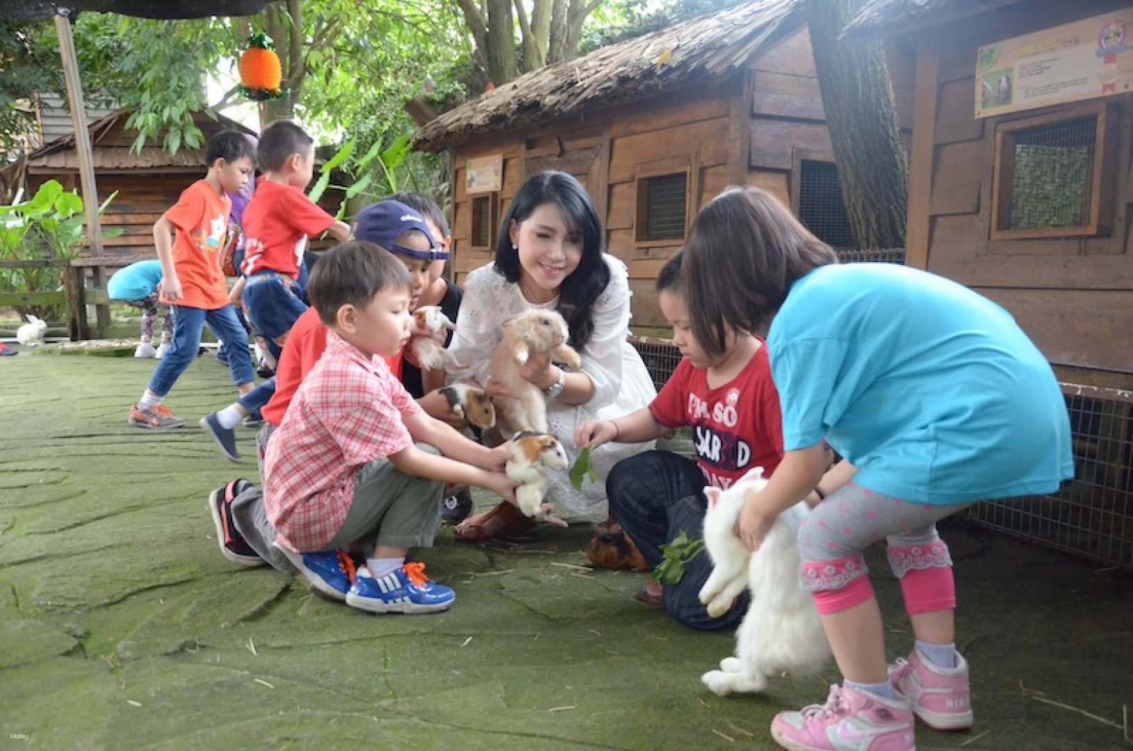 Tips ke Farm in the City