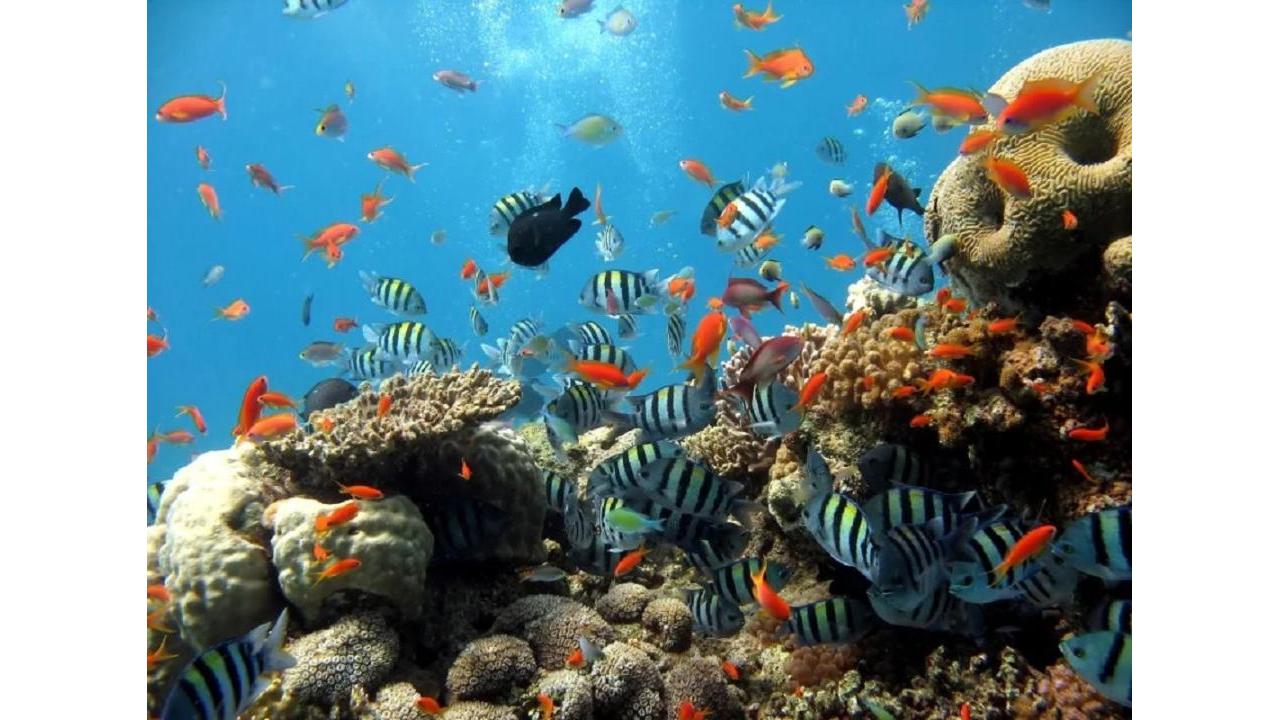 Underwater World Pattaya